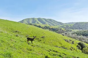 11798 State Route 1, Point Reyes Station, CA 94956 - Photo 1