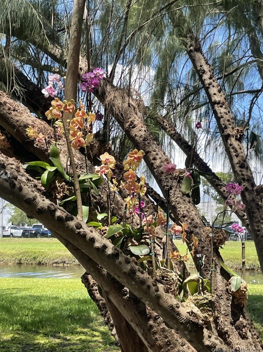 6705 Kendall Dr, Miami FL 33156-1742 exterior