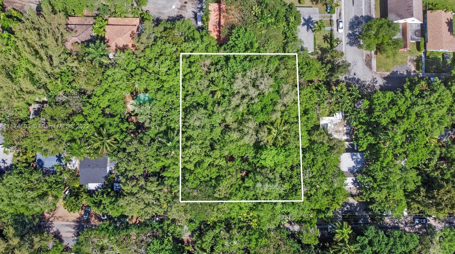 3601 Loquat Ave, Miami, FL 33133-6217