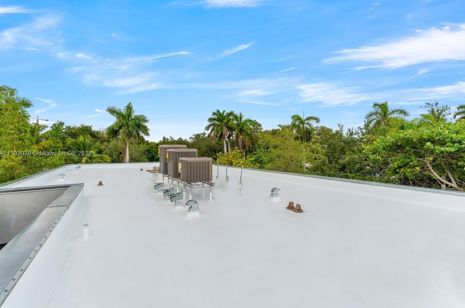 2459 Lincoln Ave, Miami FL  33133-3963 exterior