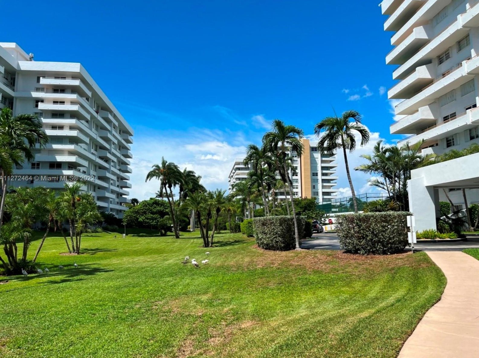 155 Ocean Ln Dr #402, Miami, FL 33149