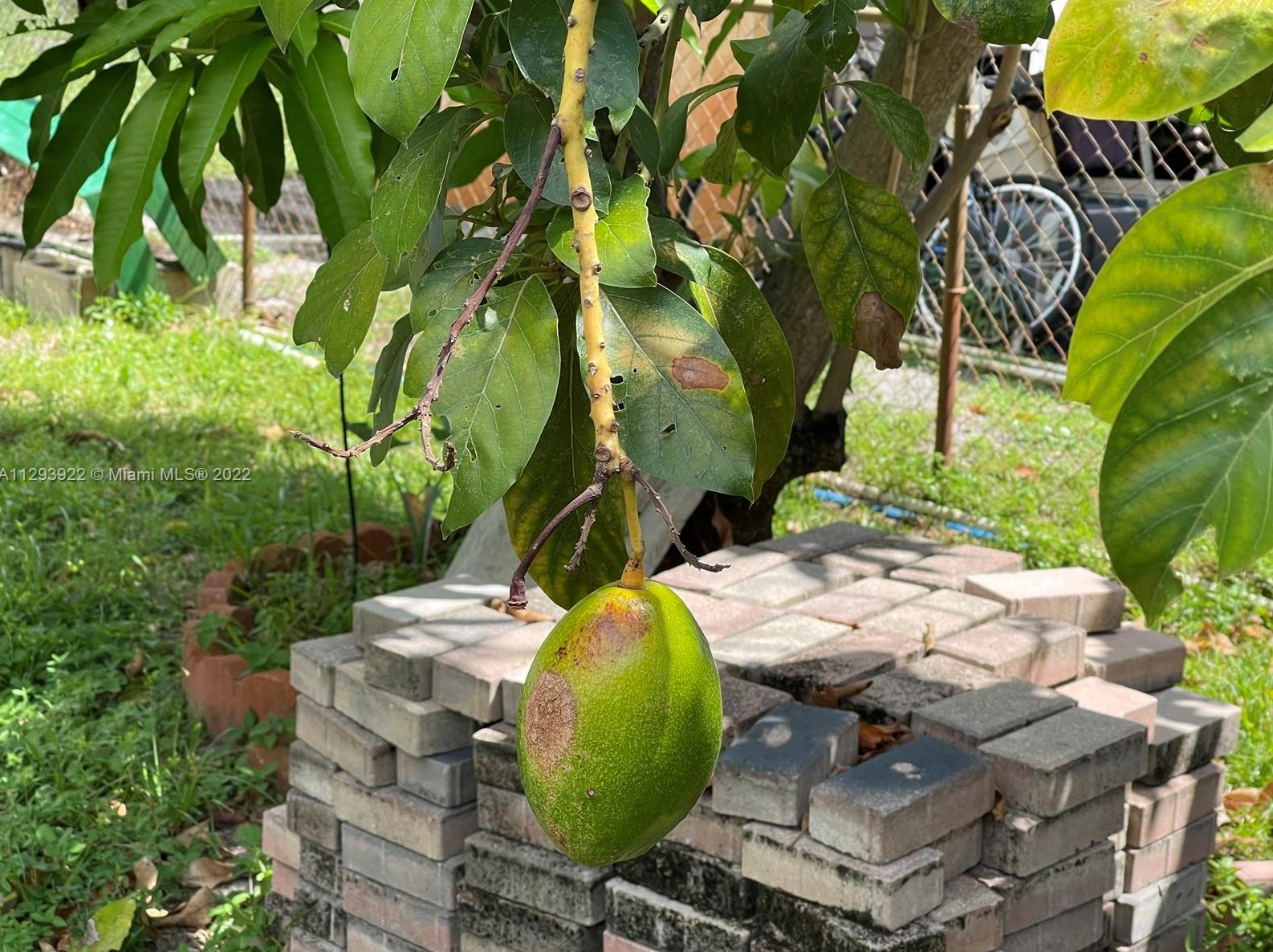 3431 172 Ter, Miami FL 33056-4166 exterior