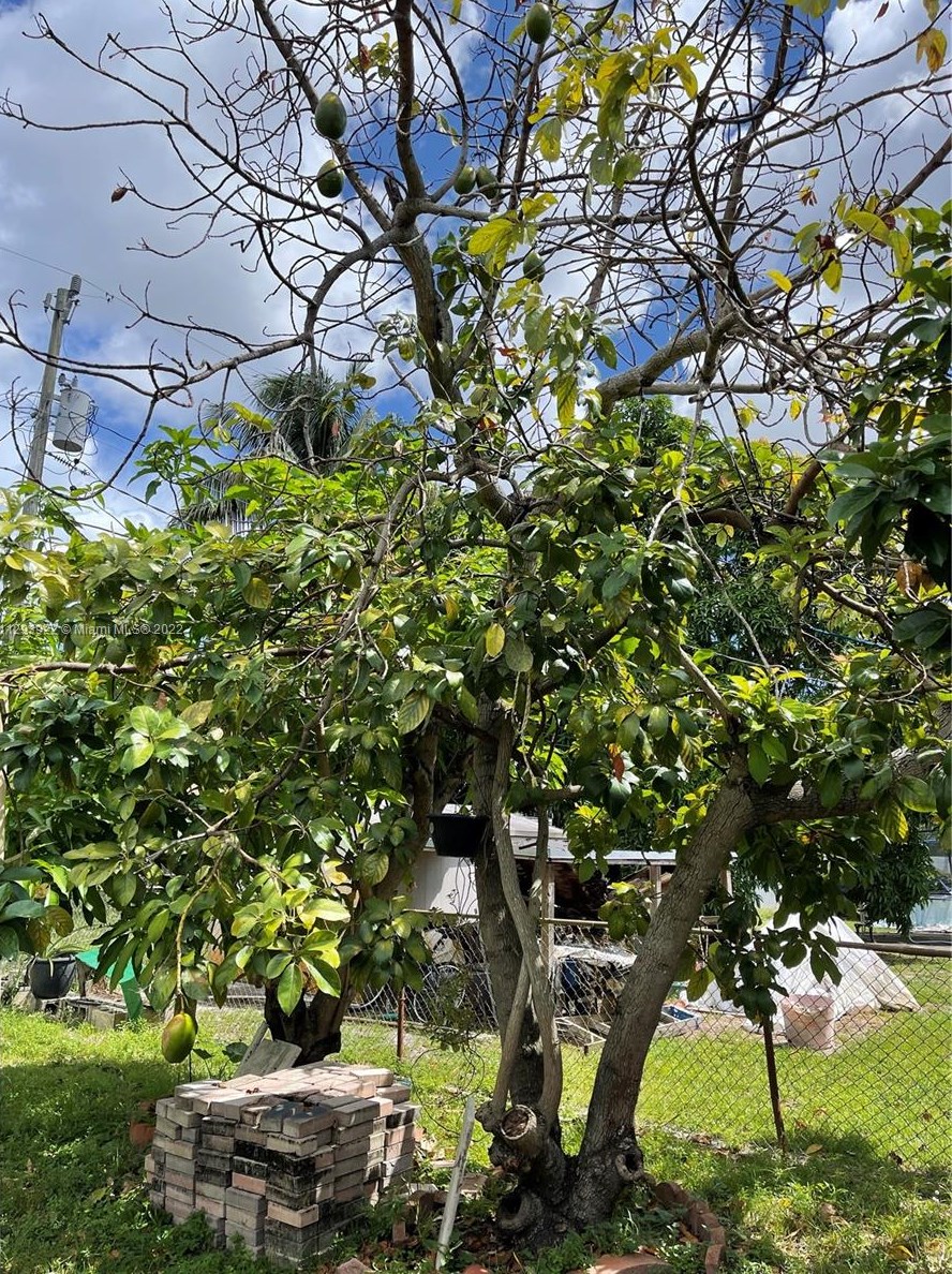 3431 172 Ter, Miami FL 33056-4166 exterior