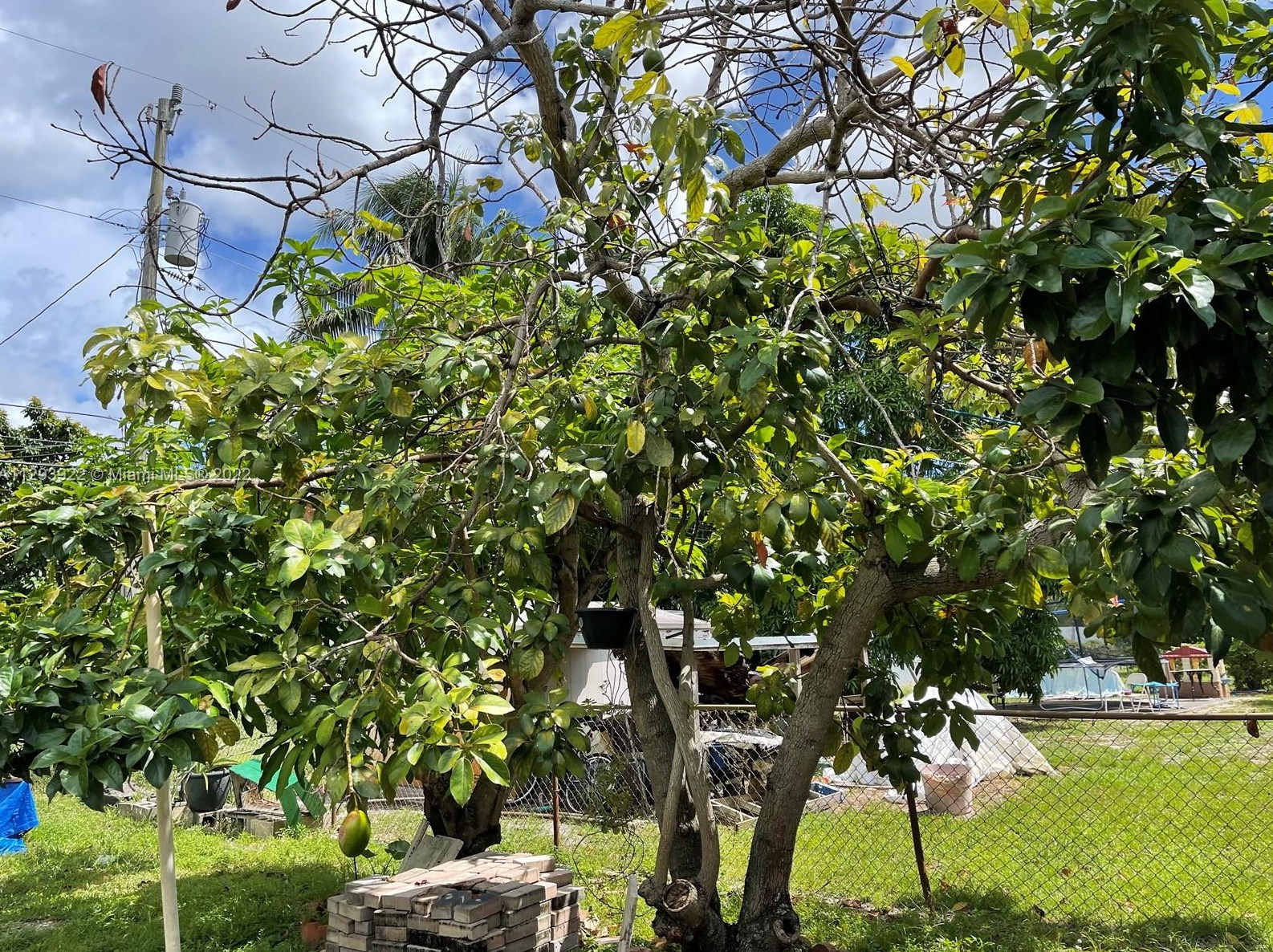 3431 172 Ter, Miami FL 33056-4166 exterior