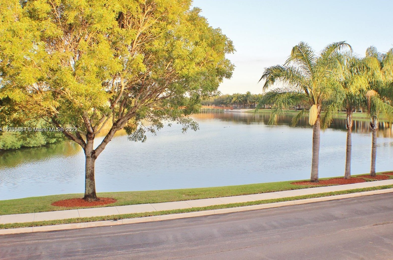2493 Centergate Dr #204, Hollywood, FL 33025