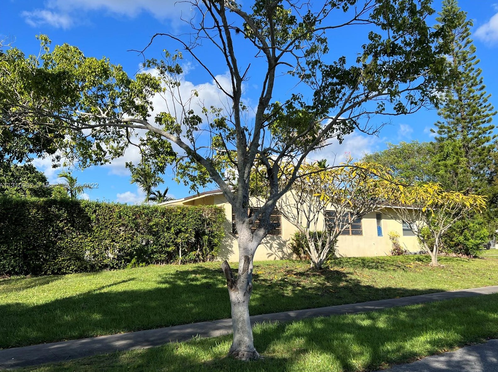 16030 99th Ave, Miami, FL 33157-3238