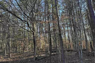 0 Sulphur Mine Rd, Charlottesville, VA 22911 - Photo 1