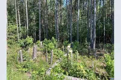 Lot 6 Richmond Rd, Amelia Court House, VA 23002 - Photo 1