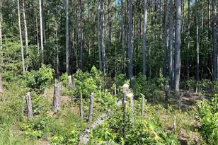 2411 Richmond Rd, Amelia Court House, VA 23002 - Photo 1