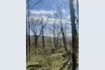 Lot 17 Woods Gap Rd, Crozet, VA 22932 - Photo 1