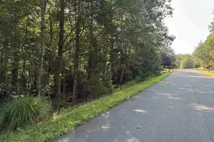 20 Fleetwood Dr, Palmyra, VA 22963 - Photo 1