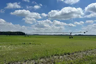 33193 Gordy Rd, Laurel, DE 19956 - Photo 1