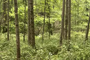 2835 Merrymans Mill Rd, Phoenix, MD 21131 - Photo 1