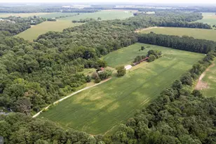 22109 Tanyard Rd, Preston, MD 21655 - Photo 1