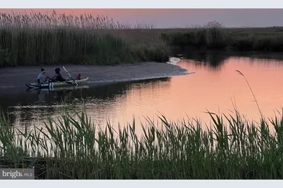 2229 Elliott Island Road, Vienna, MD 21869 - Photo 1