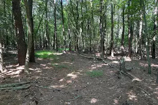 Rhodesdale Vienna, Vienna, MD 21869 - Photo 1