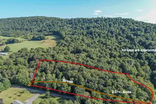 Sang Run Rd, Mc Henry, MD 21541 - Photo 1