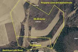 Beckman-Lohr Rd, Swanton, MD 21561 - Photo 1
