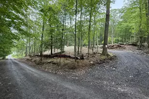 Lots 54 &amp 53 Sloan Tract Rd, Oakland, MD 21550 - Photo 1