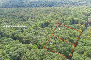 Lots 57 & 58 Black Oak Dr, Oakland, MD 21550 - Photo 1