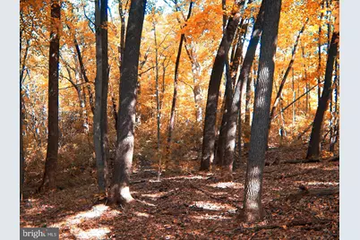 17414 Clagett Landing Road, Upper Marlboro, MD 20774 - Photo 1