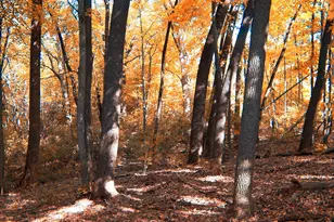 17414 Clagett Landing Rd, Upper Marlboro, MD 20774 - Photo 1