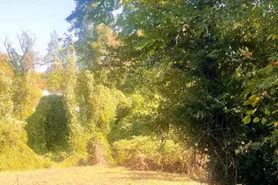 203 Unicorn Pl, Capitol Heights, MD 20743 - Photo 1