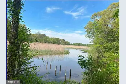 305 Hickory Lane, Chestertown, MD 21620 - Photo 1