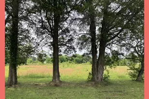 Longview Blvd, Bushwood, MD 20618 - Photo 1