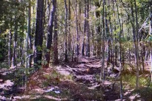 Lot 6 Block J Channel Dr, Mechanicsville, MD 20659 - Photo 1