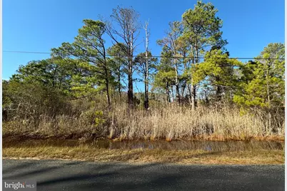 Parcel 75 Riley Roberts Road, Deal Island, MD 21821 - Photo 1