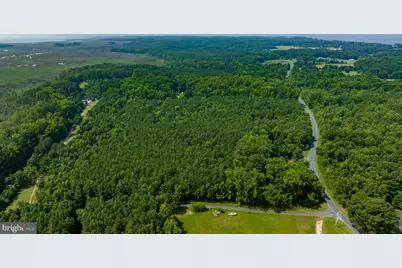0 Jesterville Road, Tyaskin, MD 21865 - Photo 1