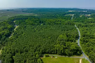 0 Jesterville Rd, Tyaskin, MD 21865 - Photo 1