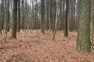 0 Upper Ferry Rd, Eden, MD 21822 - Photo 1