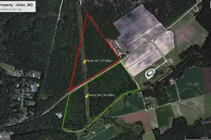 0 Allen East Side Of Rd, Eden, MD 21822 - Photo 1