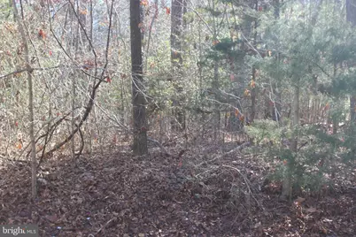 2043 Neptune Court, Greenbackville, VA 23356 - Photo 1