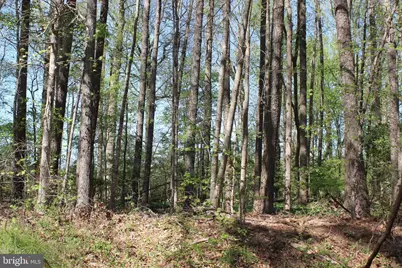 2086 Cutlass Court, Greenbackville, VA 23356 - Photo 1