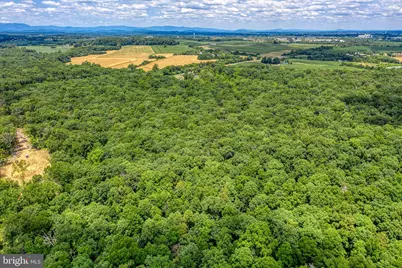 Zachary Taylor Highway, Culpeper, VA 22701 - Photo 1