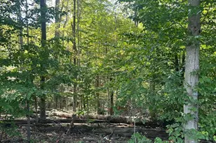 Countryside Ln, Lignum, VA 22726 - Photo 1