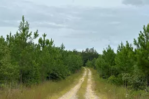 Bethlehem Road (Rt 636) (Tract: Bethlehem-1), Bowling Green, VA 22427 - Photo 1