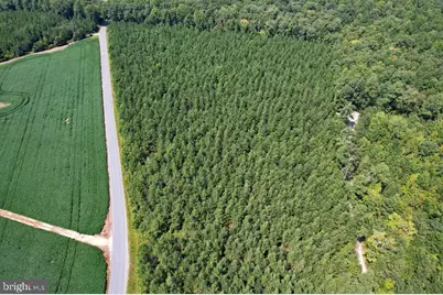 0 Lewis Moore Road, Ruther Glen, VA 22546 - Photo 1