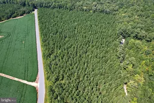 0 Lewis Moore Rd, Ruther Glen, VA 22546 - Photo 1