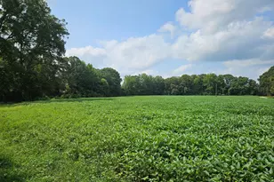 Easement Off Of Ladysmith Rd, Ruther Glen, VA 22546 - Photo 1