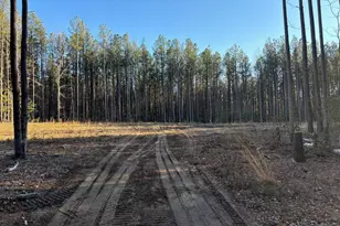 Clarkes Store Rd, Caret, VA 22436 - Photo 1