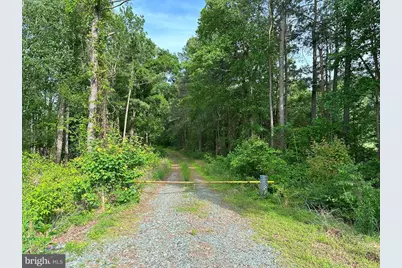 Haden Martin Road (Tract: Martin Pitts), Palmyra, VA 22963 - Photo 1