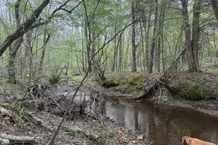 Tbd 4 Covered Bridge Rd, Kents Store, VA 23084 - Photo 1