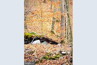 Fiery Run Rd., Linden, VA 22642 - Photo 1