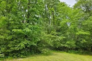 Catlett School Rd, Catlett, VA 20119 - Photo 1