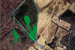 Bristersburg, Catlett, VA 20119 - Photo 1