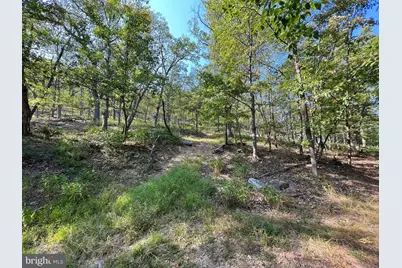 12 Elk Trail, Winchester, VA 22602 - Photo 1